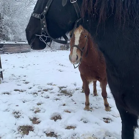 Lejlighed сімейна хата