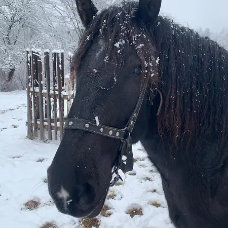 сімейна хата